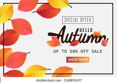autumn leaf vector illustration background with autumn special offer sale