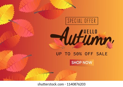 autumn leaf vector illustration background with autumn special offer sale