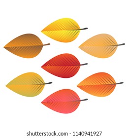autumn leaf vector illustration background