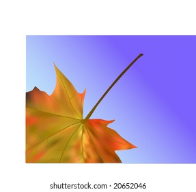 Autumn Leaf The vector illustration contains the image of leaf