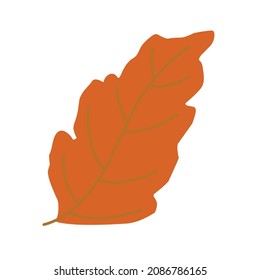 Autumn Leaf Vector Illustration With Cute Flat Design