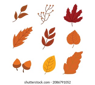 Ilustración De Vector De Hojas De Otoño Con Diseño Plano Aislado