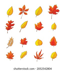 autumn leaf vector illustration design isolated set bundle