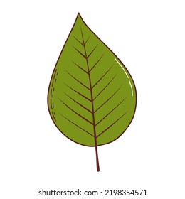 Autumn leaf. Vector illustration in hand drawn style