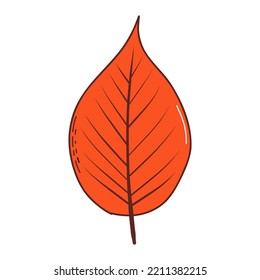 Hoja de otoño. Ilustración del vector con estilo dibujado a mano