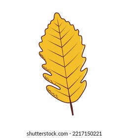 Autumn leaf. Vector illustration in hand drawn style