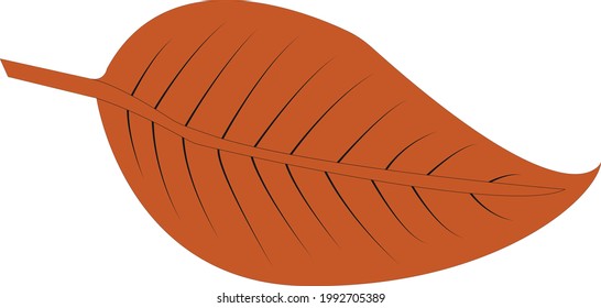 Herbstblatt-Vektorgrafik einzeln auf weißem Hintergrund