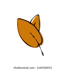 Autumn leaf vector illustration on white background