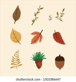 Autumn Leaf Vector Illustration Set