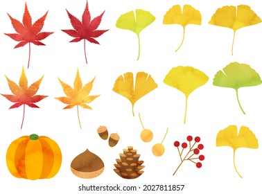 Autumn leaf vector illustration set
