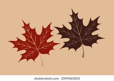 autumn leaf vector image color