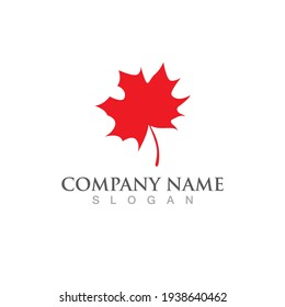 autumn leaf vector logo and symbol