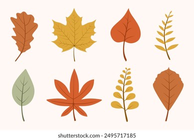 Autumn leaf vector set. Hand drawn various fallen leaves isolated. Colorful flat illustration of autumn decorative elements for seasonal holiday greeting card design. Colored vector illustration