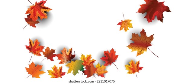 autumn leaf white glow background vector illustration