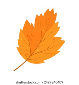 Hoja de otoño. Hoja de otoño amarilla aislada sobre fondo blanco. Ilustración vectorial dibujada a mano.