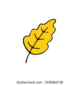 Herbstblatt aus gelber Eiche. Vektorhandgezeichnete doodle-Illustration.