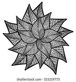 Autumn leaf zentangle round element black and white. Fall thyme vector illustration can be used for web design, textures, printed products and other.