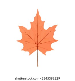 Autumn leaf.Colorful maple leaf icon . Watercolor autumn leaf.