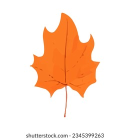 Hoja de otoño. Icono colorido de hoja de arce . Hoja de color de agua de otoño.