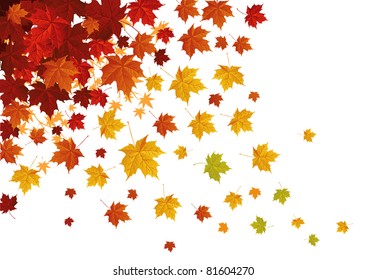Autumn leafs