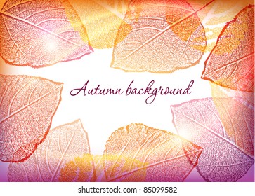 autumn leafs background