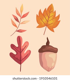 autumn leafs and branch with nut icons vector illustration design