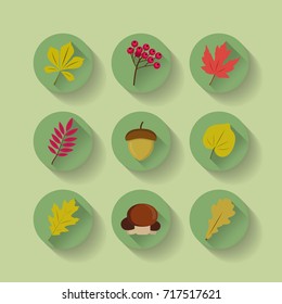 Autumn leafs flat design set Vector collection
