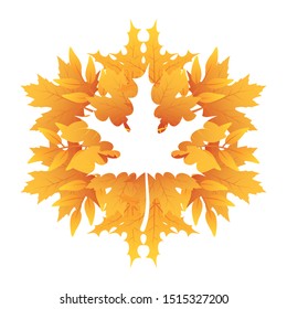 autumn leafs foliage with maple leaf shape vector illustration design