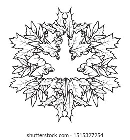 autumn leafs foliage with maple leaf shape vector illustration design