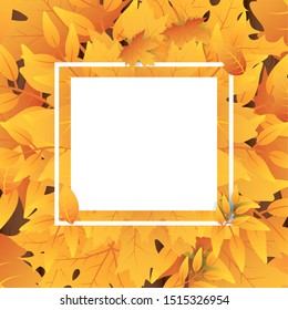 autumn leafs foliage square frame vector illustration design