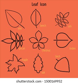 Autumn Leafs Icon Isolated. - vector