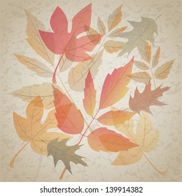 Autumn leafs on dirty grunge background