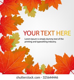 autumn  leafs on gray background