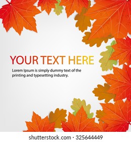 autumn  leafs on gray background