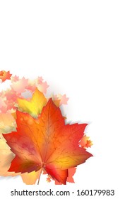 Autumn leafs on the white background with copy space. Vector eps10 illustration.