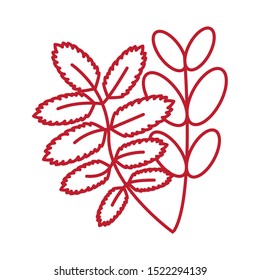 autumn leafs plant seasonal isolated icon vector illustration design