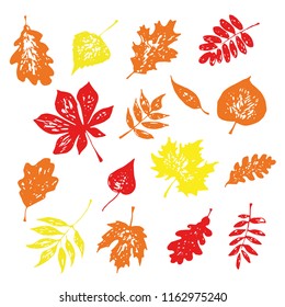 Autumn leafs set. Vector. eps10