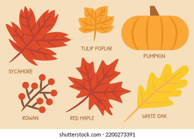 Las hojas de otoño se establecen en la ilustración de tonos cálidos para el diseño de tarjetas, el diseño de afiches o la impresión.