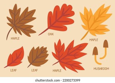 Autumn leafs set in warm tone illustration for card design, poster design or printing.