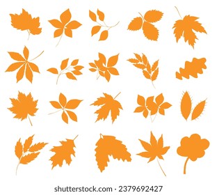 
Autumn leaf's silhouette flat vector 