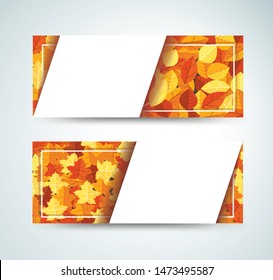 Autumn leafs template background vector illustration EPS10