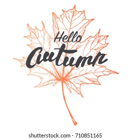 Autumn leave. Drawing hand image and lettering design, vector illustration.