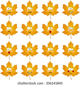 Autumn leave with feature a different expression
