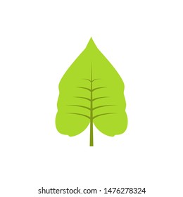 Autumn leave, green icon. Element of color autumn flora icon