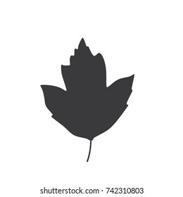Autumn leave icon, vector illustration design. Leaves collection.