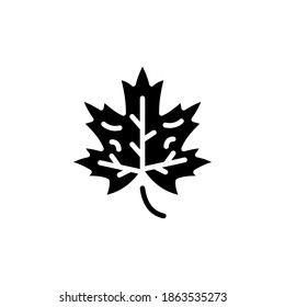 Autumn Leave icon in vector. Logotype