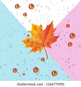 Autumn leave. Autumn maple leaf isolated on color background Vector illustration
