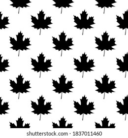 Autumn leave. Autumn. Maple leaves on white background. Black and white pattern.