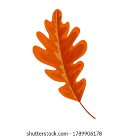 Autumn leave or Orange leaf isolated on white background.Autumn and fall season concept.Vector illustration eps 10