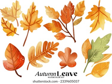 Autumn leave watercolor illustration set